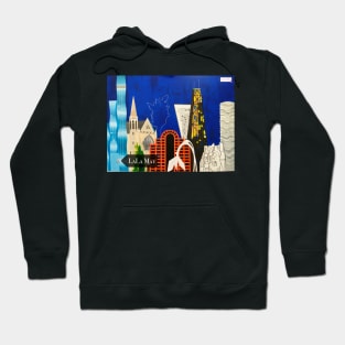 Chicago Architectural Menagerie Hoodie